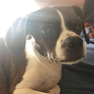 Meet your Posher, Mary